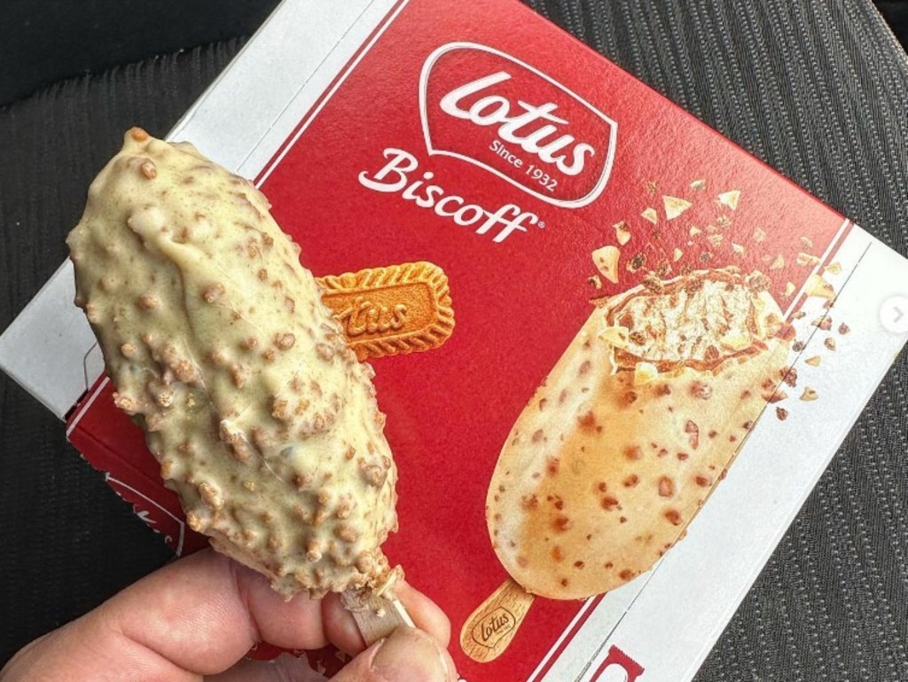 Biscoff ice deals cream bars