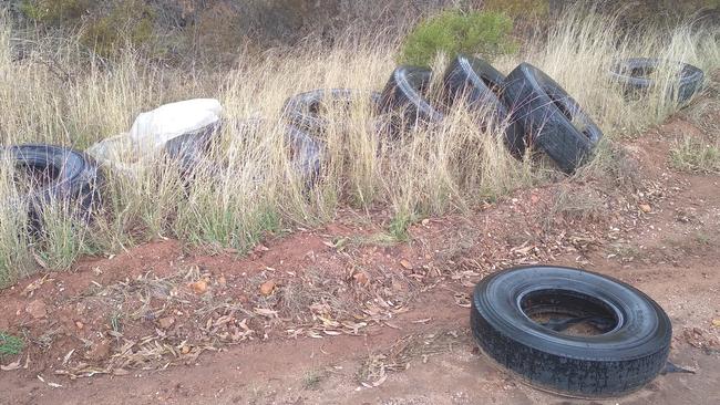 Tyres that have allegedly been illegally dumped near Bloomsbury. Picture: Lance Payne