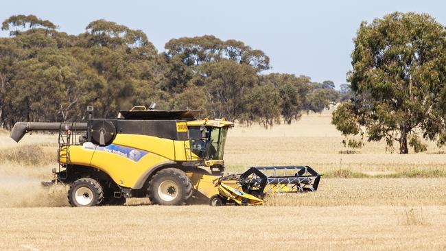 Cropping farmers are welcoming forecasts of hot weather. Picture: Zoe Phillips