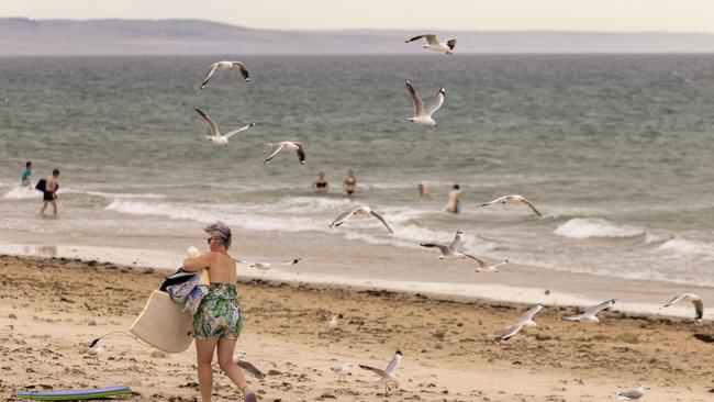 11 October, 2023: Beach goers enjoy the sun at Moana Beach. Picture Kelly barnes