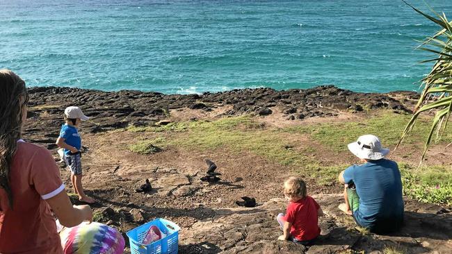 Community members watch on as shearwaters prepare for flight