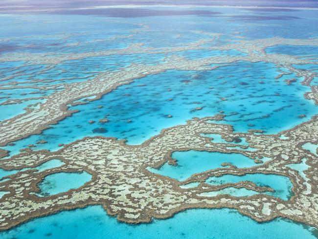 Aerial view of the Great Barrier Reef in Australia