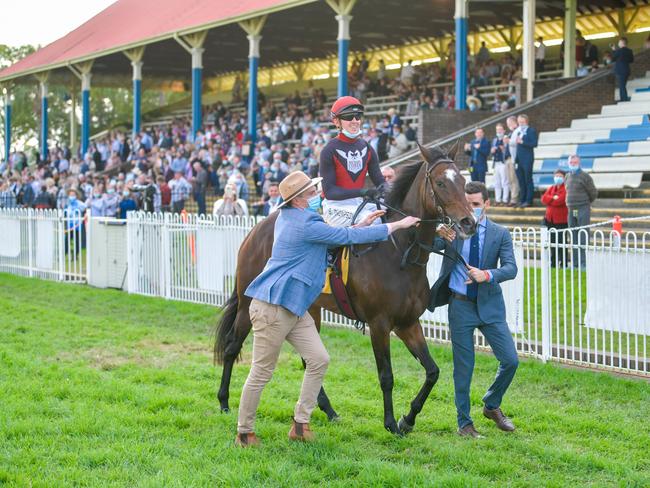 Jockey Ben Thompson brings 10 Purrfect Deal back to scale after winning the 2021 Grafton Cup at the Clarence River Jockey Club July Carnival.