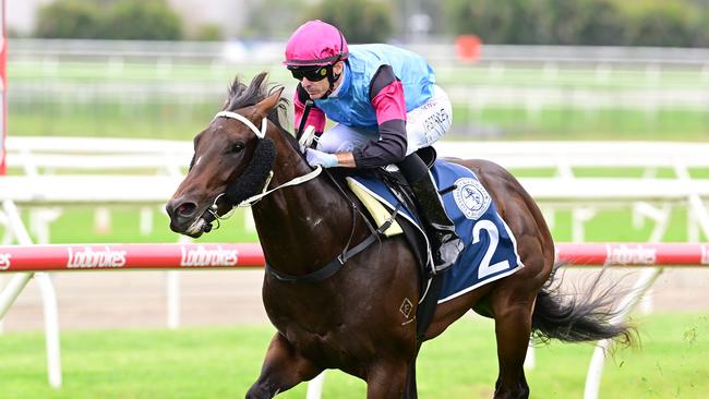 Astapor produced one of the better two-year-old performances of the season at Doomben. Picture: Grant Peters/Trackside Photography