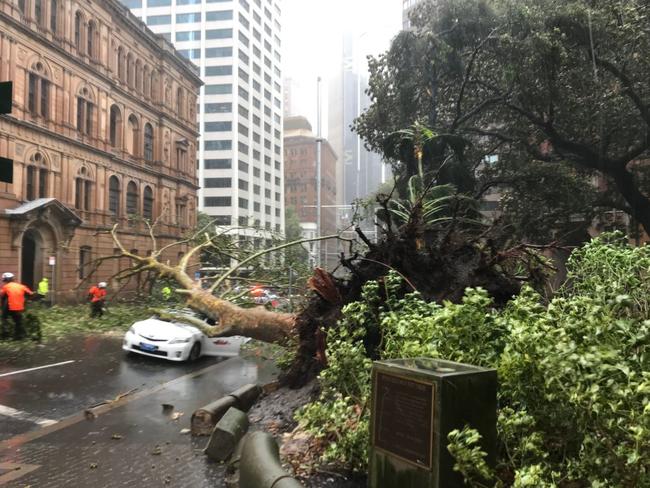 The scene where a tree took out a taxi in the city. Picture: NSW Ambulance