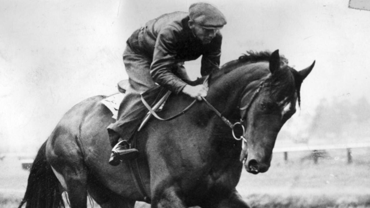 Racehorse Bernborough during trackwork in an undated photo.