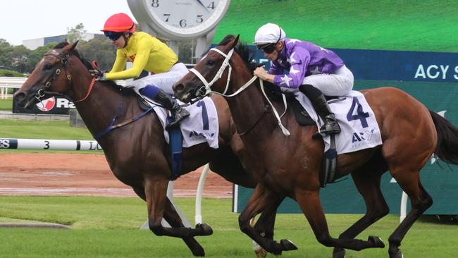 Rule Of Law (left) can maintain his winning form. Picture: Grant Guy