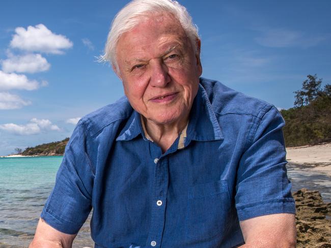 david attenborough