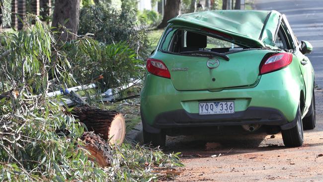 A car in Blackburn South that was crushed by a tree. Picture: David Crosling
