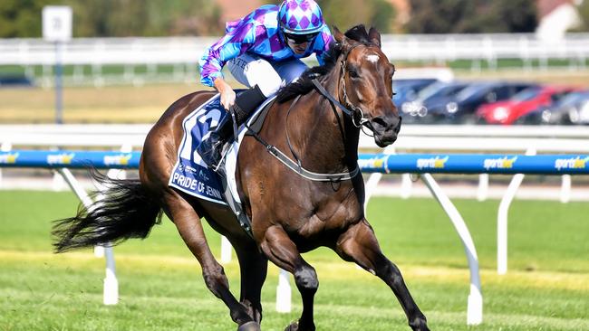 SHE’S BACK: Australian racing superstar Pride Of Jenni is the headline act in Saturday’s Memsie Stakes. Photo: Pat Scala/Getty Images.