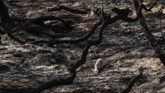 A bottle following the hazard reduction burns. Picture: AAP Image / Julian Andrews