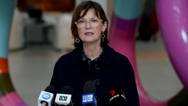 Victorian Health Minister Mary-Anne Thomas speaks to media at Royal Children’s Hospital in Melbourne about winter flu vaccines. Picture: NCA NewsWire/Andrew Henshaw