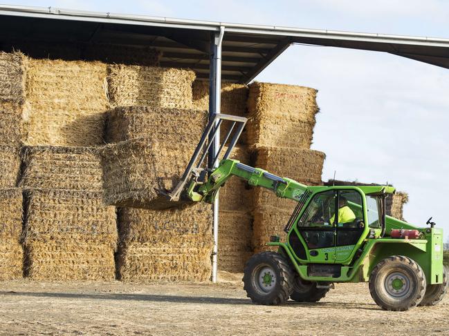 Stacking odds: Growers are mindful of haystacks offering a haven for mice and are taking precautions. Picture: Zoe Phillips