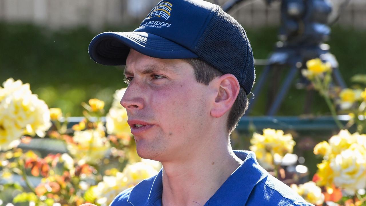 Trainer Mitchell Freedman has a great chance of a win with Miss Xtravaganza at Benalla on Tuesday. Picture: Racing Photos via Getty Images.