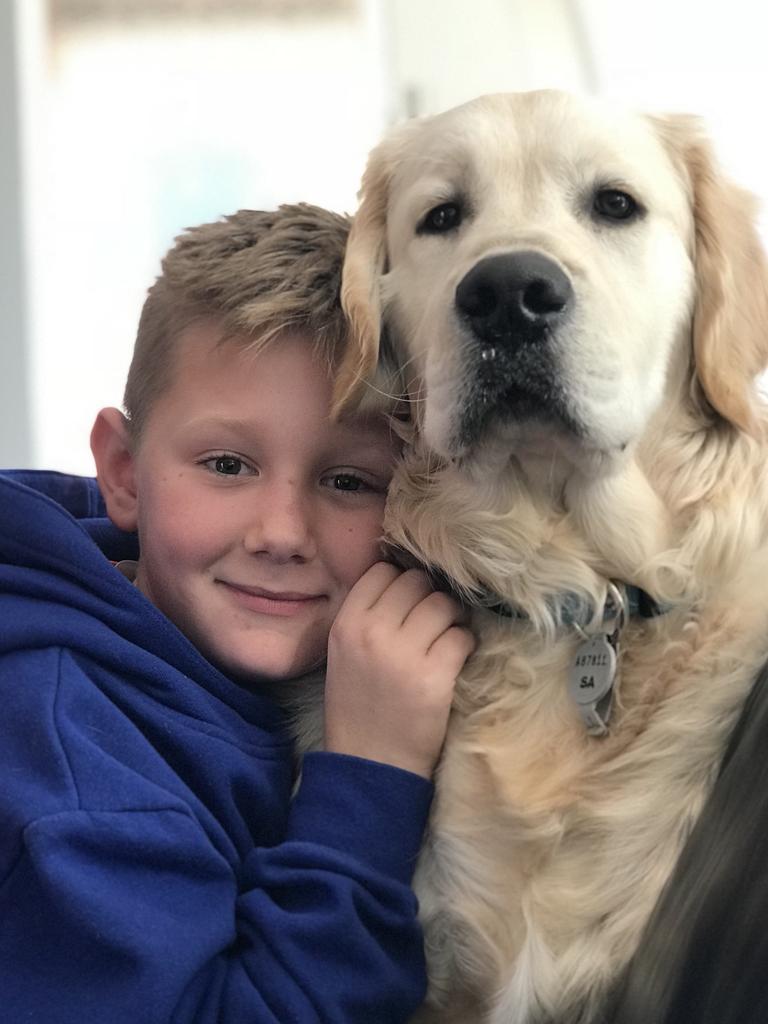 SA dogs and their best buddies | The Advertiser