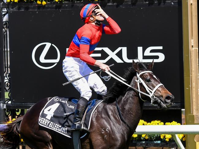 Melbourne Cup triumph lifts Verry Elleegant to champion status