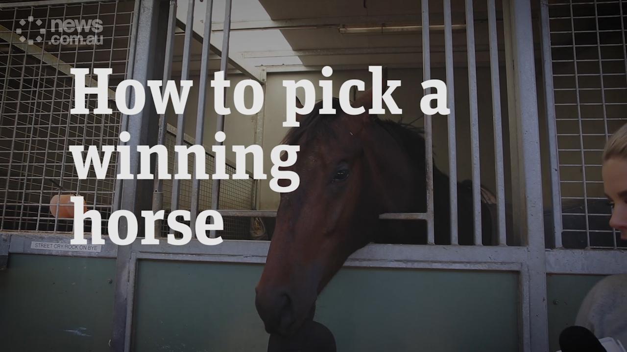 How to pick a winning horse