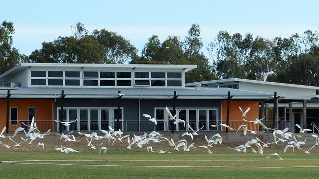 Birds have caused thousands of dollars’ damage to Willunga High School.