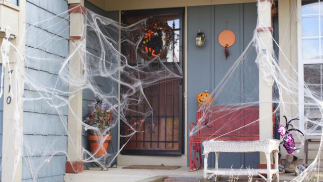 Images show spiderwebs around the world, not all found in Australia, spider  season australia 