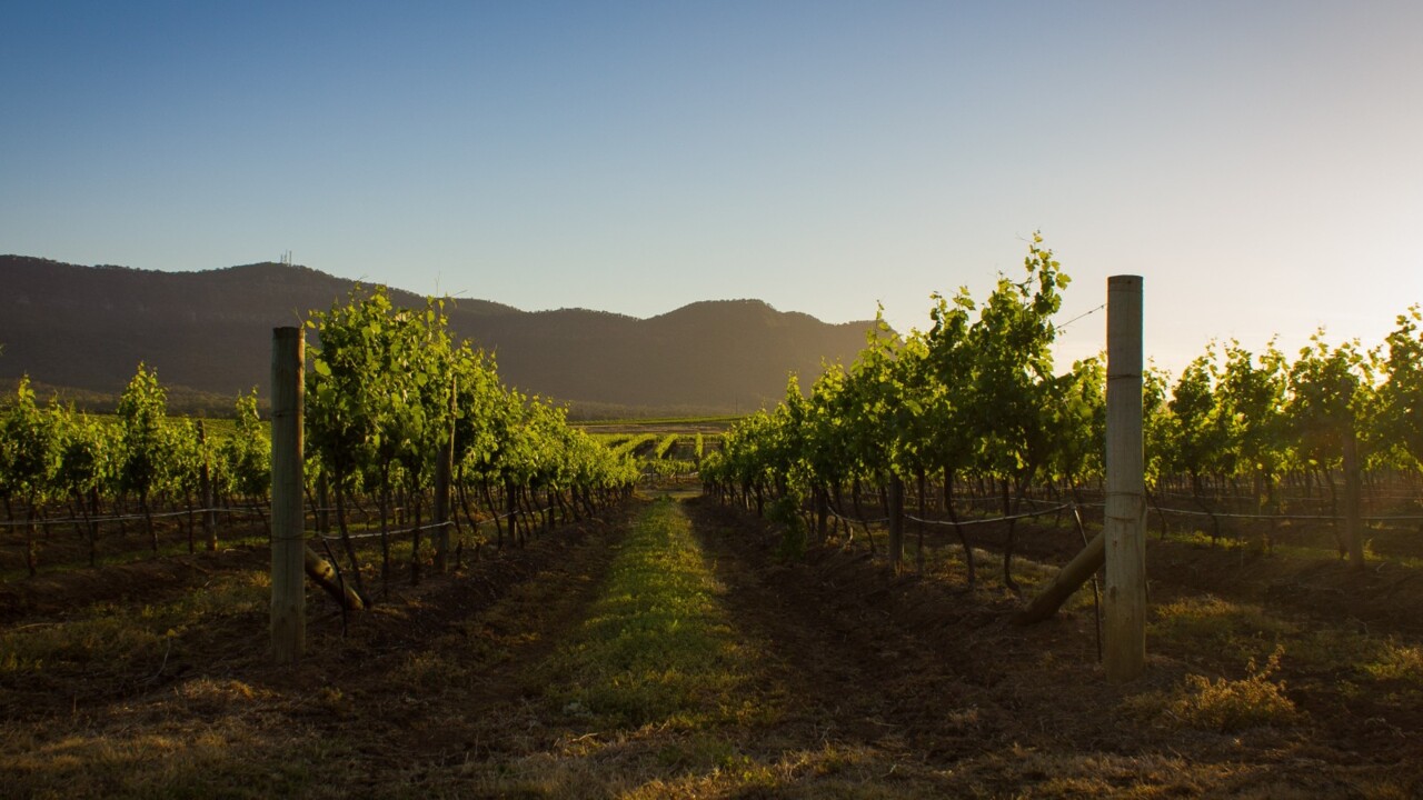 Victorian wine growers fear solar farm will ‘decimate’ Heathcote tourism