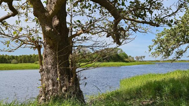 Finniss River, NT.