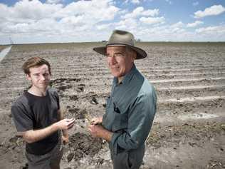 Daniel Scott and his father David Scott inspect the remains of their hail damaged cotton crop on the Cecil Plains farm, Wednesday, December 27, 2017. Picture: Kevin Farmer