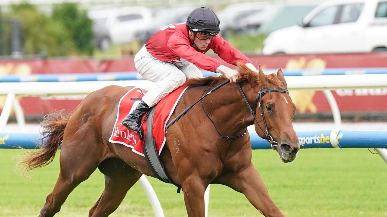 Palm Angel winning the Merson Cooper on debut. Picture: Scott Barbour/Racing Photos via Getty Images