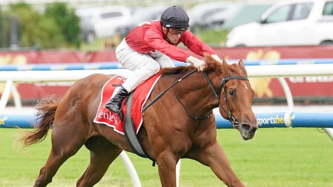 Palm Angel winning the Merson Cooper on debut. Picture: Scott Barbour/Racing Photos via Getty Images