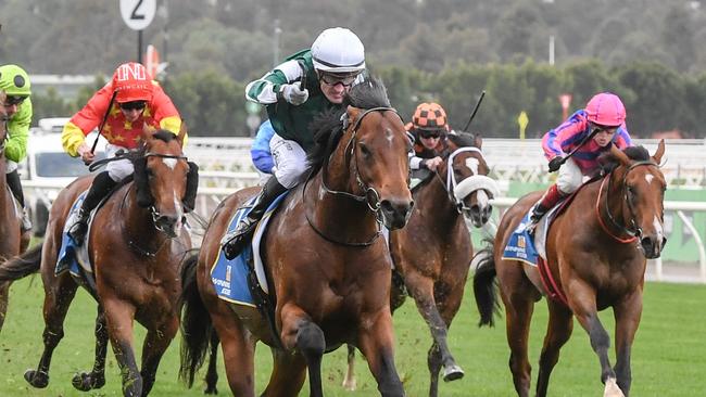 Growing Empire ridden by Mark Zahra wins the Winning Edge Presentations Poseidon Stakes at Flemington Racecourse on September 14, 2024 in Flemington, Australia. (Photo by Brett Holburt/Racing Photos via Getty Images)