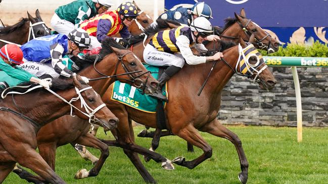 Amade arrived in time to win the Geelong Cup last spring. Picture: Scott Barbour/Racing Photos via Getty Images