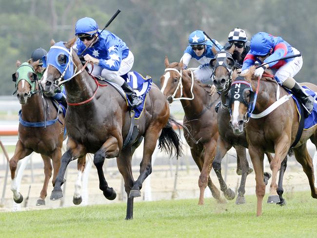 Wyong Race Club is planning a major expansion. Picture: Peter Clark