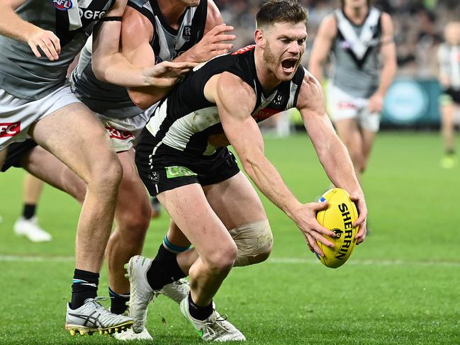 Taylor Adams has finally given in to his troublesome knee after battling through it for some weeks. Picture: Getty Images