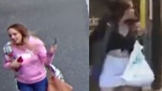A woman has been charged, while police continue to search for another woman and man linked to the Elizabeth St alleged assault.
