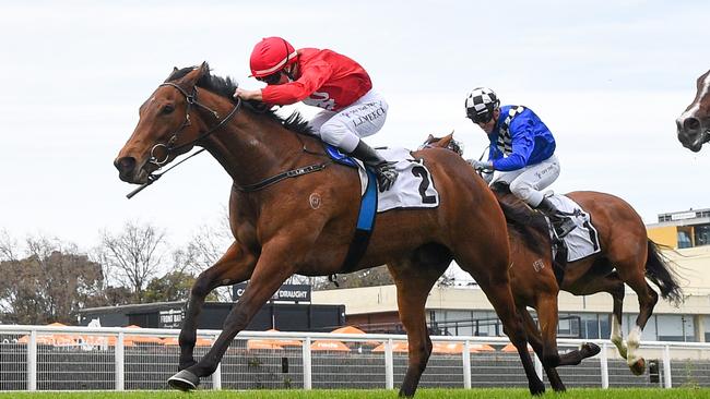 Sneaky Five, winning at Caulfield first-up, is rated Ciaron Maher and David Eustace’s best chance in the Manikato Stakes. Picture: Racing Photos