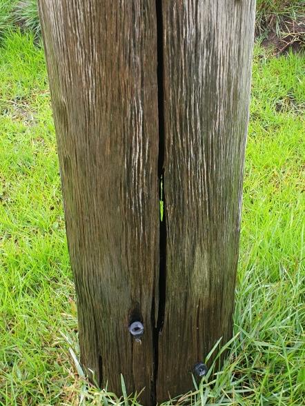 Crack of daylight: A split Powercor power pole at Macarthur in western Victoria, where daylight can be seen on the other side.