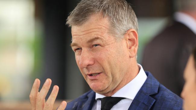 Animate looks primed for trainer Kris Lees. Picture: Getty Images