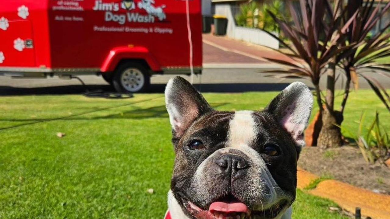 Jim's Dog Wash former franchisees are speaking out about how they got "stung" by the system. Picture: Suppiled