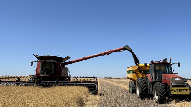 Harvest of canola at the Talbot family property in Western Australia. Picture: Supplied