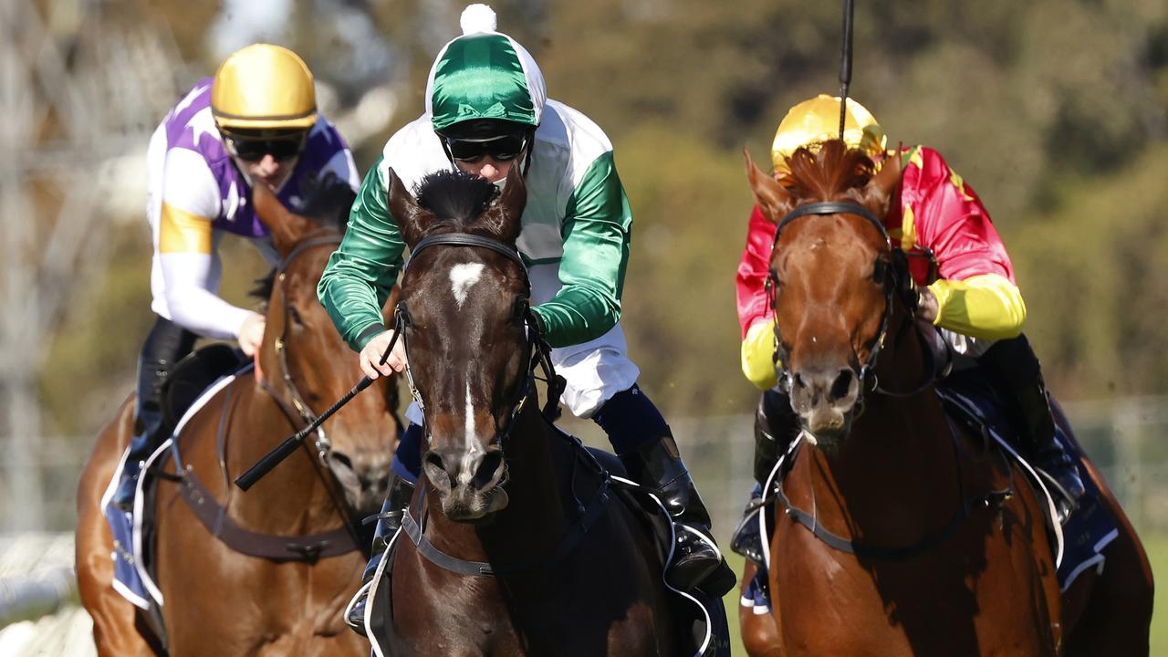 Silent Impact (green/white) and Concocted (red and yellow) will likely avoid a return clash in the Up And Coming Stakes at Kembla on Saturday. Picture: Getty Images