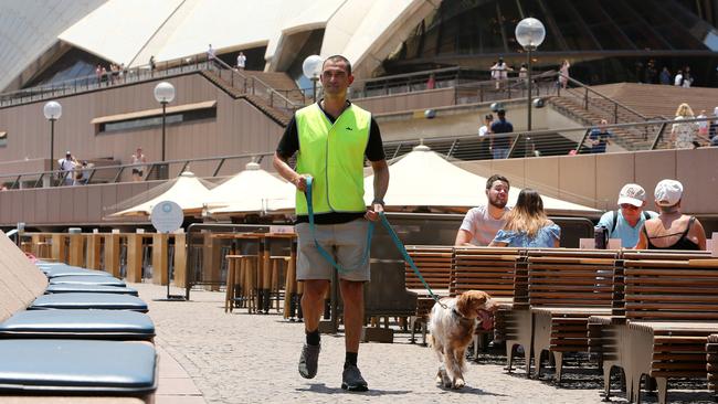 Roxy with her handler Carlos Beduschi keeping diner’s safe. Picture: Tim Hunter