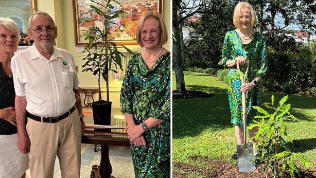 Janet and Ian McConachie and the Honourable Dr Jeannette Young with the young macadamia tree planted on November 1, in memory of Queen Elizabeth II and her 70-year reign.