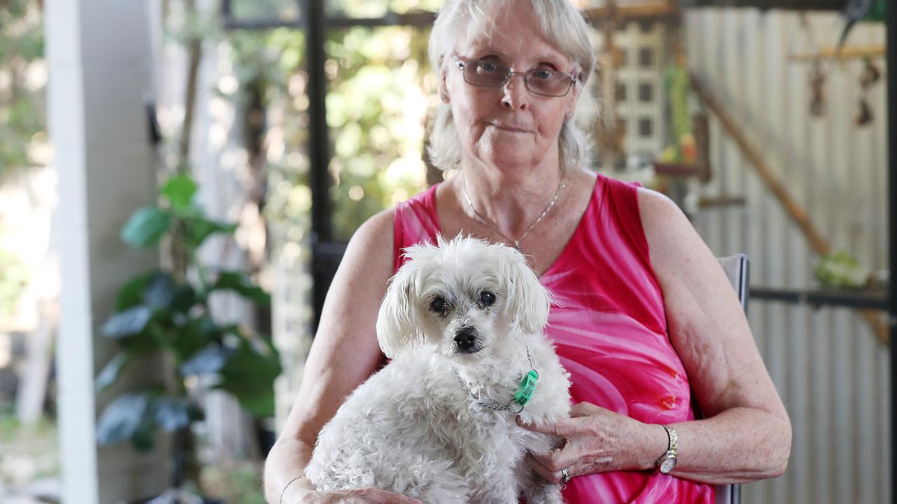 Ulysses Veterinary Clinic: Stratford vet saves stroke victim | The