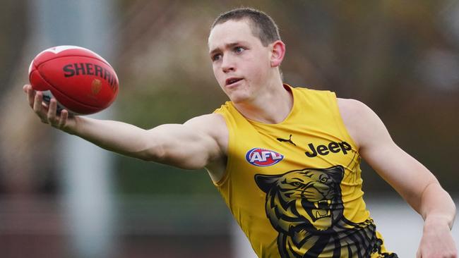 Riley Collier-Dawkins of the Tigers marks the ball during a Richmond Tigers AFL training session at Swinburne Centre in Melbourne, Thursday, May 21, 2020. (AAP Image/Michael Dodge) NO ARCHIVING