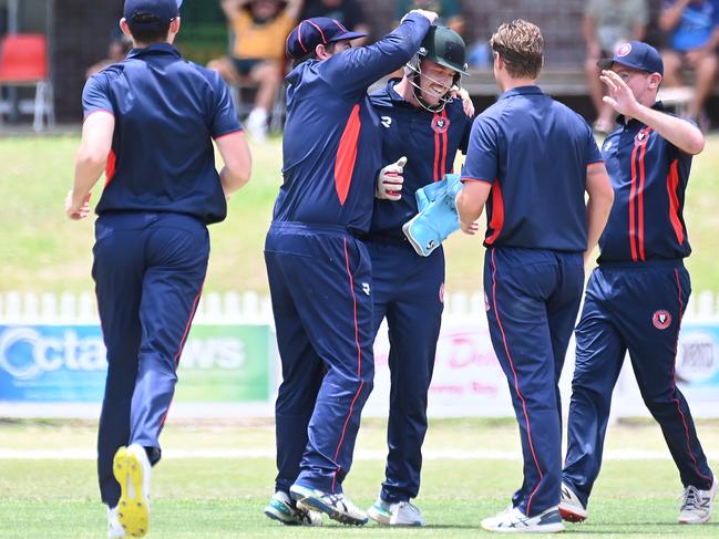 Surfers Paradise players celebrate a wicket Helensvale v Surfers Paradise premier first grade at Hession Oval Sunday November 12, 2023. Picture, John Gass