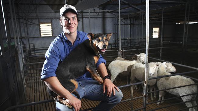 Glenelg's Darcy Fogarty with kelpie Johnny, at home on his family farm at Marcollat (near Lucindale). Picture: Sarah Reed