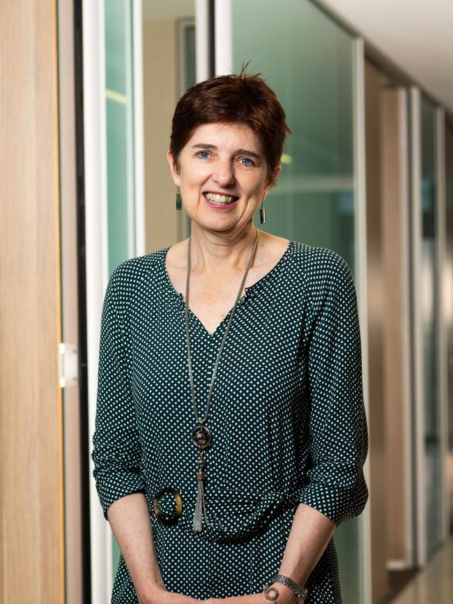 Biomedical scientist and Executive Dean of the Faculty of Medicine and Health at the University of Sydney Professor Robyn Walsh. Picture: Supplied