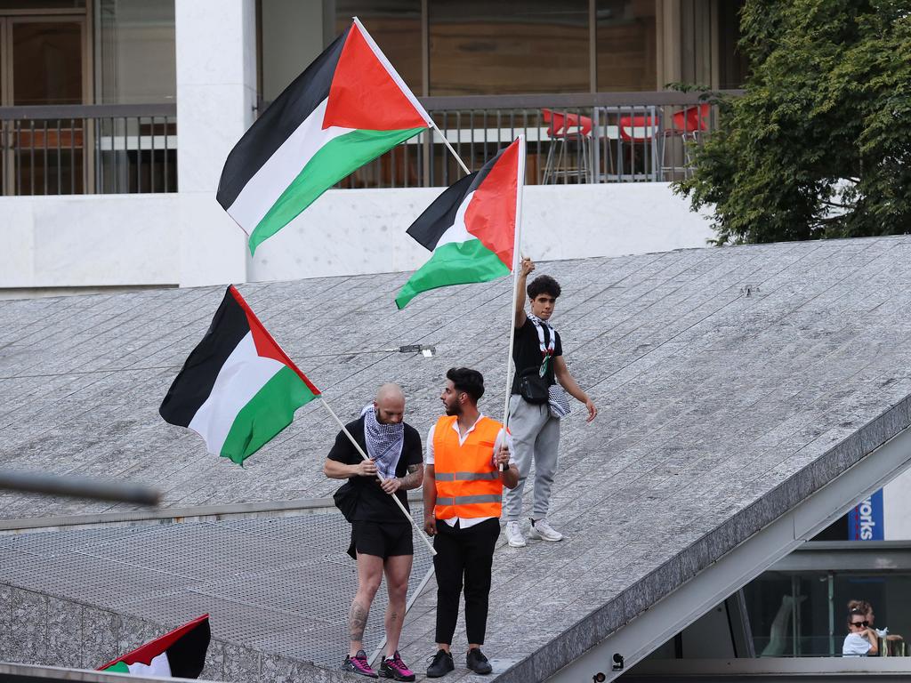 The rally was a sea of flags. Picture: Liam Kidston