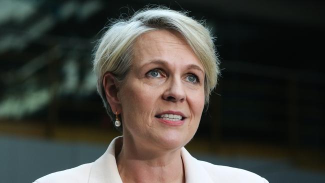 Tanya Plibersek, Minister for the Environment and Water. Picture: NewsWire / Gaye Gerard