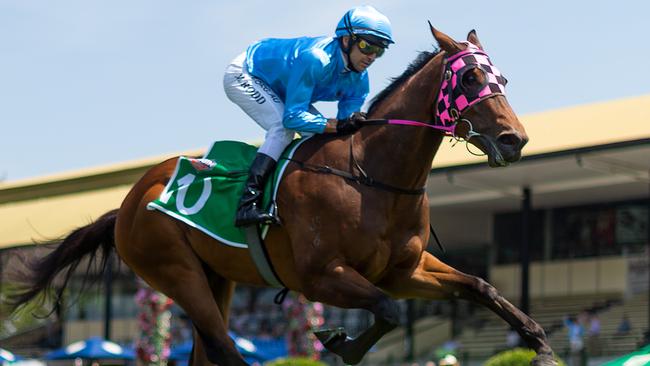 Michael Rodd’s win on Ziemba helped NSW secure the Origin Jockey Series at Eagle Farm. Picture: AAP