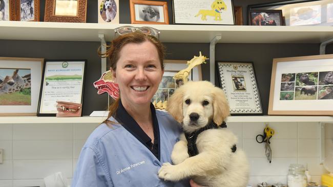 Sydney School of Veterinary Science lecturer Anne Fawcett said a rise in people adopting dogs during isolation could be a contributing factor for the recent “spike” in cases.